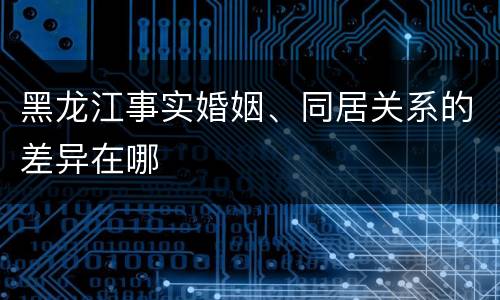 黑龙江事实婚姻、同居关系的差异在哪