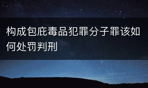 构成包庇毒品犯罪分子罪该如何处罚判刑