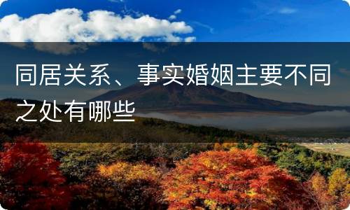 同居关系、事实婚姻主要不同之处有哪些