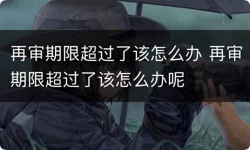 再审期限超过了该怎么办 再审期限超过了该怎么办呢