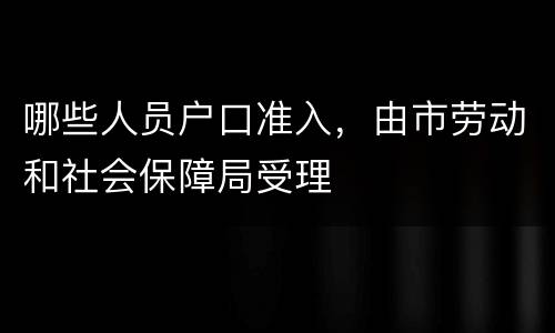 哪些人员户口准入，由市劳动和社会保障局受理