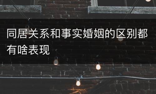 同居关系和事实婚姻的区别都有啥表现
