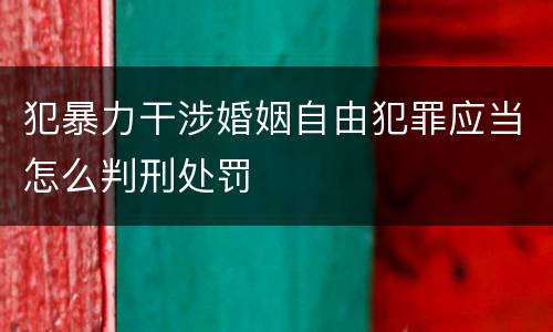 犯暴力干涉婚姻自由犯罪应当怎么判刑处罚