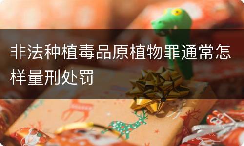 非法种植毒品原植物罪通常怎样量刑处罚