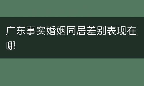 广东事实婚姻同居差别表现在哪