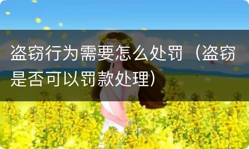 盗窃行为需要怎么处罚（盗窃是否可以罚款处理）