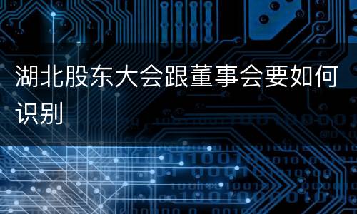 湖北股东大会跟董事会要如何识别