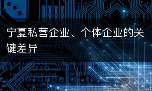宁夏私营企业、个体企业的关键差异