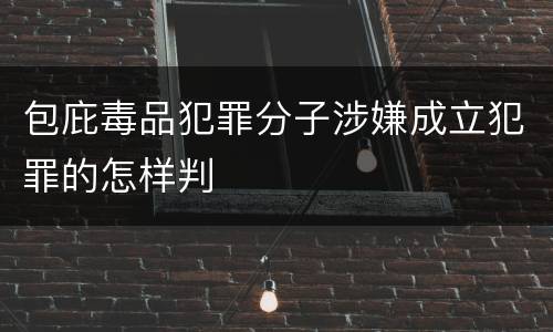 包庇毒品犯罪分子涉嫌成立犯罪的怎样判