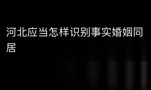 河北应当怎样识别事实婚姻同居