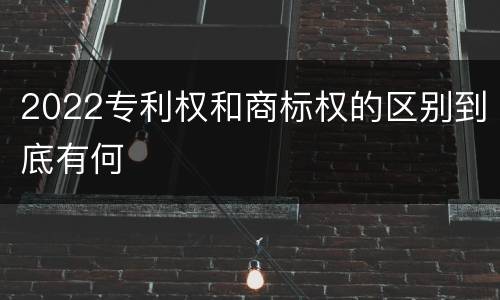 2022专利权和商标权的区别到底有何