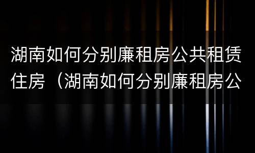 湖南如何分别廉租房公共租赁住房（湖南如何分别廉租房公共租赁住房和商品房）