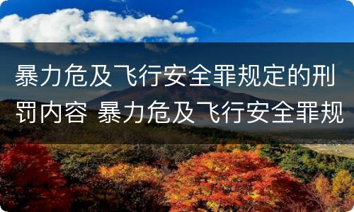 暴力危及飞行安全罪规定的刑罚内容 暴力危及飞行安全罪规定的刑罚内容不包括