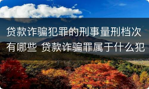 贷款诈骗犯罪的刑事量刑档次有哪些 贷款诈骗罪属于什么犯罪类型