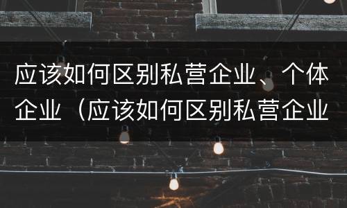 应该如何区别私营企业、个体企业（应该如何区别私营企业,个体企业和企业）
