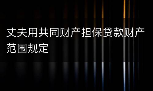 丈夫用共同财产担保贷款财产范围规定
