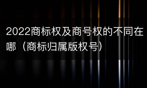 2022商标权及商号权的不同在哪（商标归属版权号）