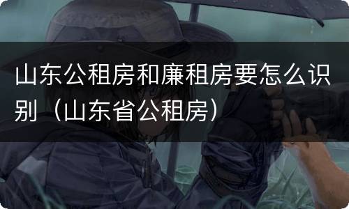 山东公租房和廉租房要怎么识别（山东省公租房）