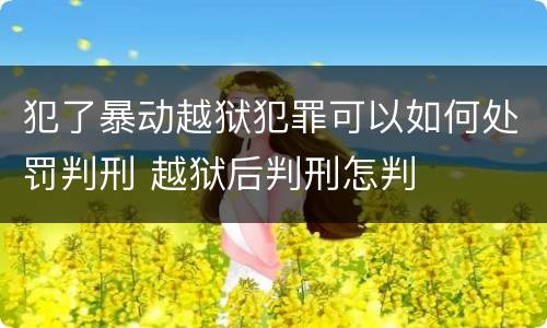 犯了暴动越狱犯罪可以如何处罚判刑 越狱后判刑怎判