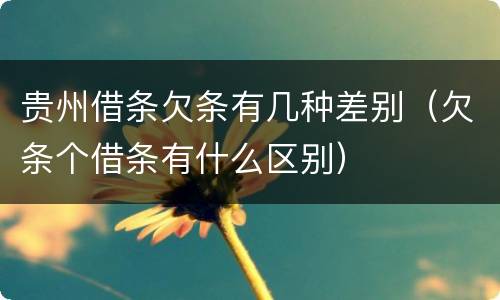 贵州借条欠条有几种差别（欠条个借条有什么区别）