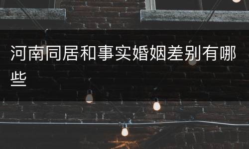 河南同居和事实婚姻差别有哪些