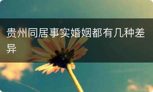 贵州同居事实婚姻都有几种差异