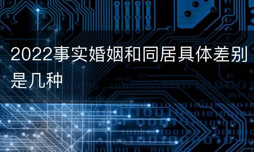 2022事实婚姻和同居具体差别是几种