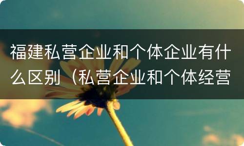 福建私营企业和个体企业有什么区别（私营企业和个体经营的区别）