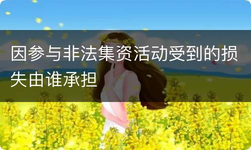 因参与非法集资活动受到的损失由谁承担