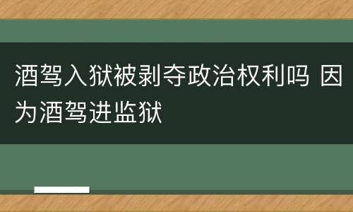 酒驾入狱被剥夺政治权利吗 因为酒驾进监狱