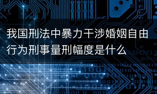 我国刑法中暴力干涉婚姻自由行为刑事量刑幅度是什么