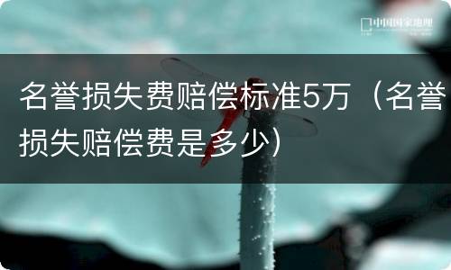 名誉损失费赔偿标准5万（名誉损失赔偿费是多少）
