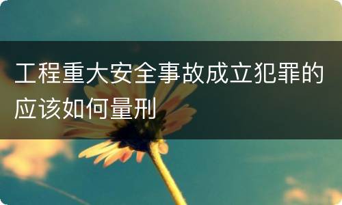 工程重大安全事故成立犯罪的应该如何量刑