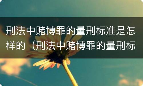 刑法中赌博罪的量刑标准是怎样的（刑法中赌博罪的量刑标准是怎样的呢）
