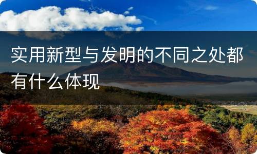 实用新型与发明的不同之处都有什么体现