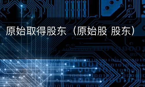 原始取得股东（原始股 股东）