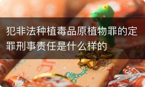 犯非法种植毒品原植物罪的定罪刑事责任是什么样的