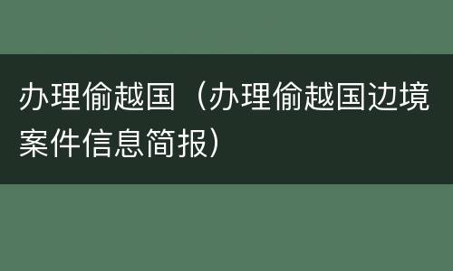 办理偷越国（办理偷越国边境案件信息简报）