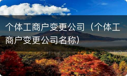个体工商户变更公司（个体工商户变更公司名称）
