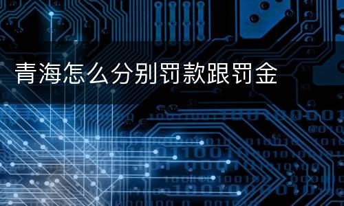 青海怎么分别罚款跟罚金