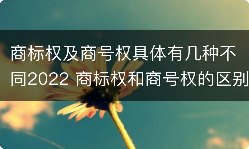 商标权及商号权具体有几种不同2022 商标权和商号权的区别
