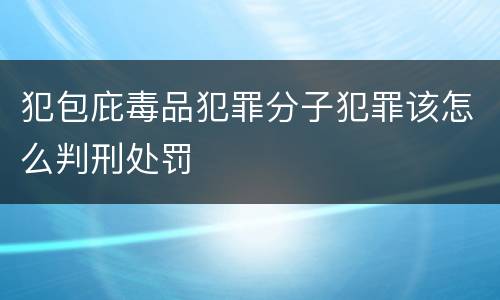 犯包庇毒品犯罪分子犯罪该怎么判刑处罚