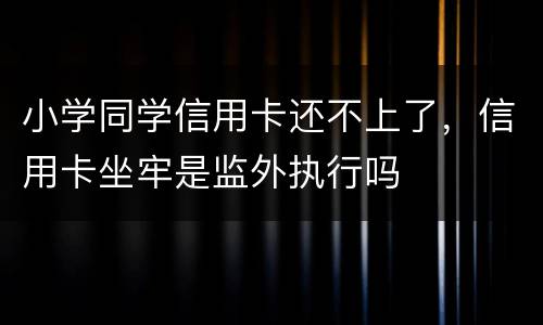 小学同学信用卡还不上了，信用卡坐牢是监外执行吗
