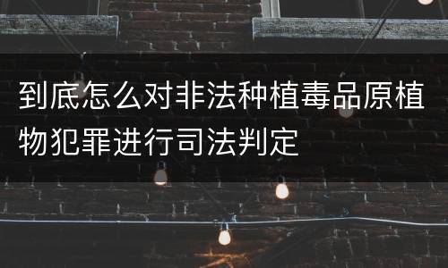 到底怎么对非法种植毒品原植物犯罪进行司法判定