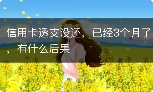 信用卡透支没还，已经3个月了，有什么后果