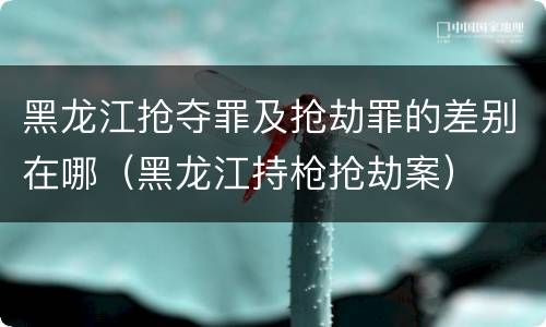 黑龙江抢夺罪及抢劫罪的差别在哪（黑龙江持枪抢劫案）