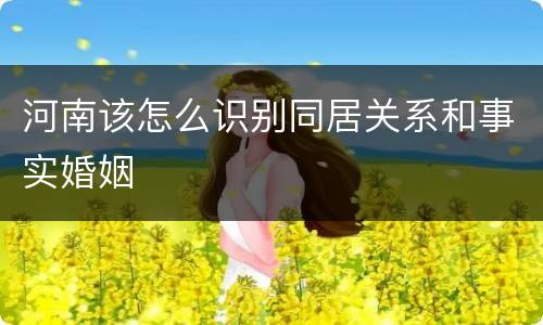 河南该怎么识别同居关系和事实婚姻