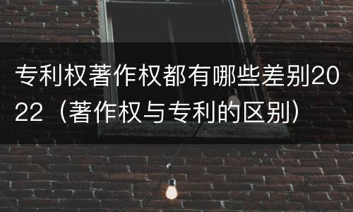专利权著作权都有哪些差别2022（著作权与专利的区别）