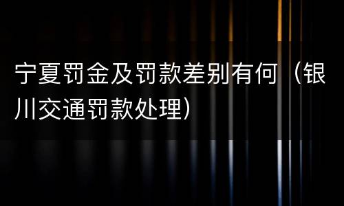 宁夏罚金及罚款差别有何（银川交通罚款处理）