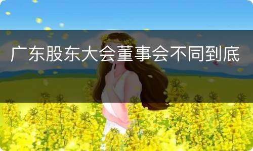 广东股东大会董事会不同到底